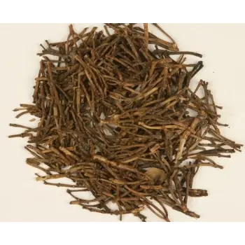 Fresh Clove Stem